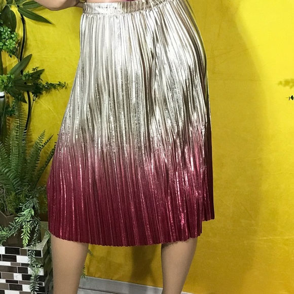 Anthropologie Ombre Pleated skirt - Picture 3 of 16